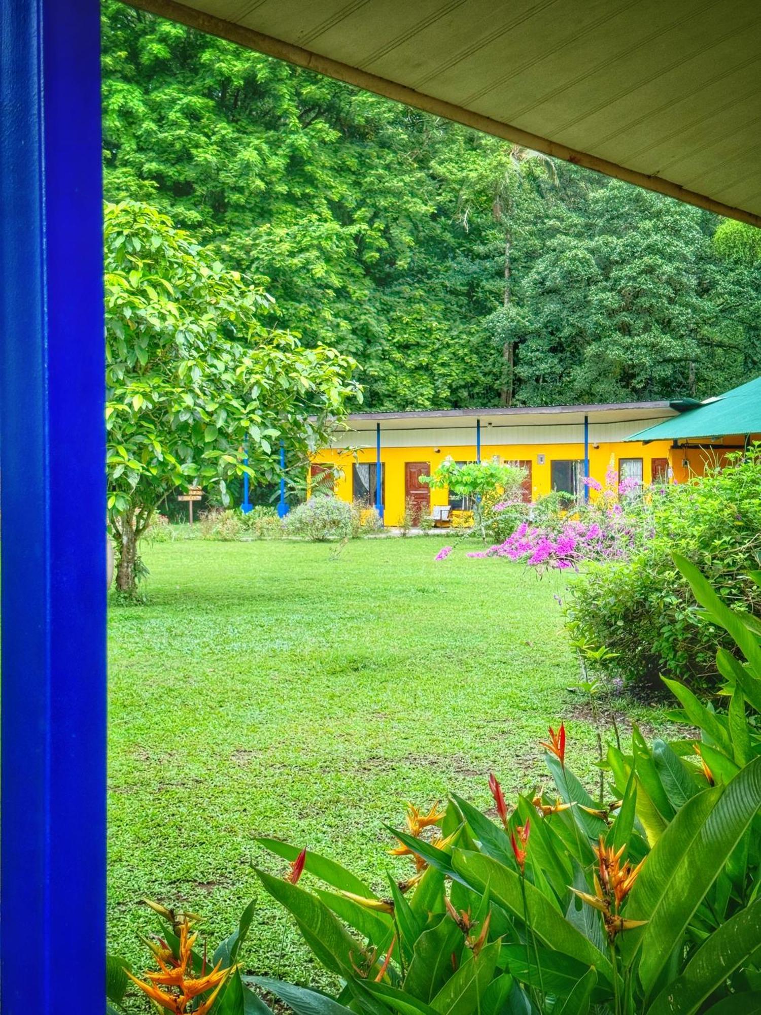 Gran Gavilán Del Lodge *