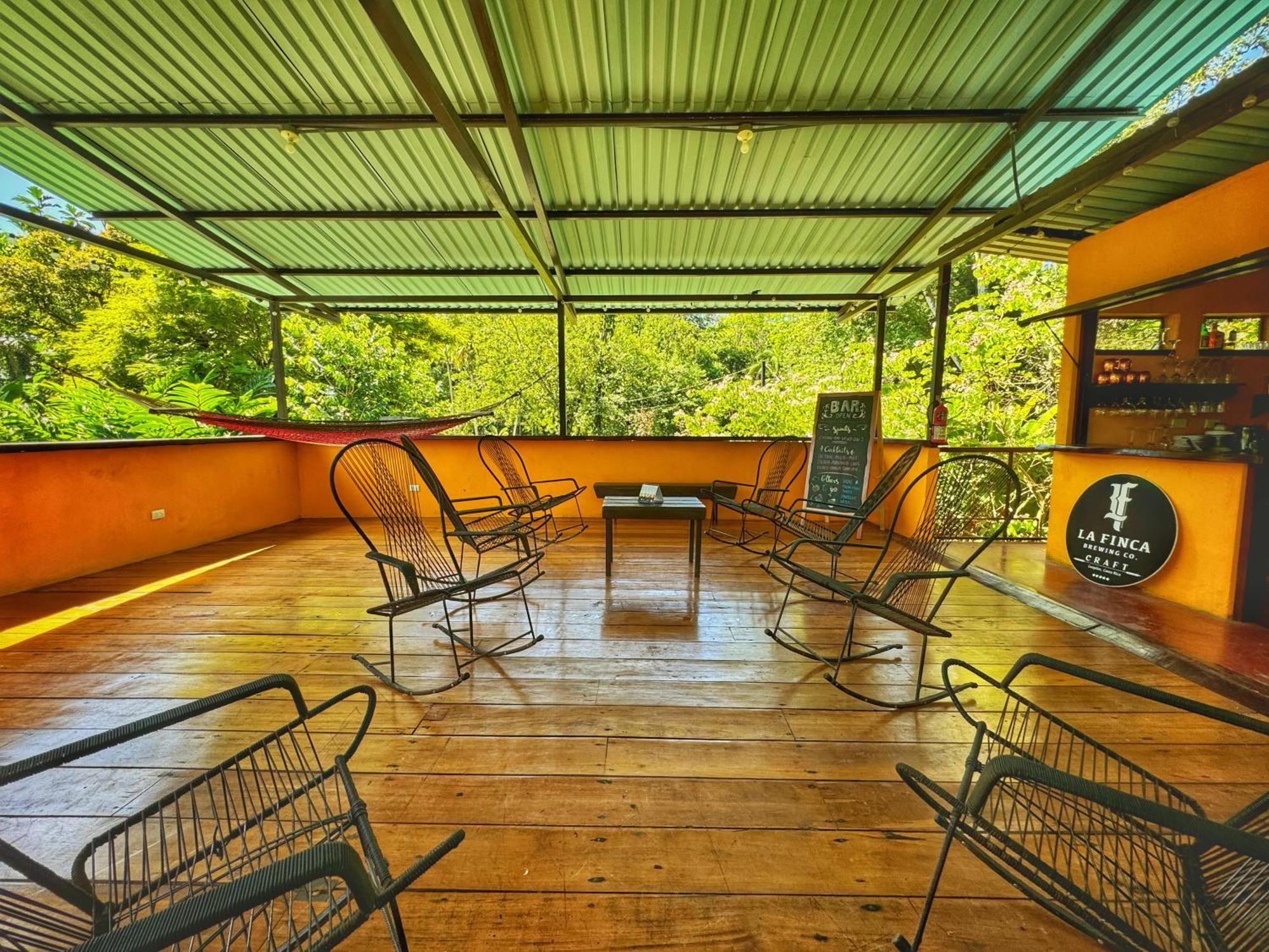 Gran Gavilán Del Lodge Sarapiquí